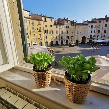 In Anfiteatro - Vivere Apartment Lucca